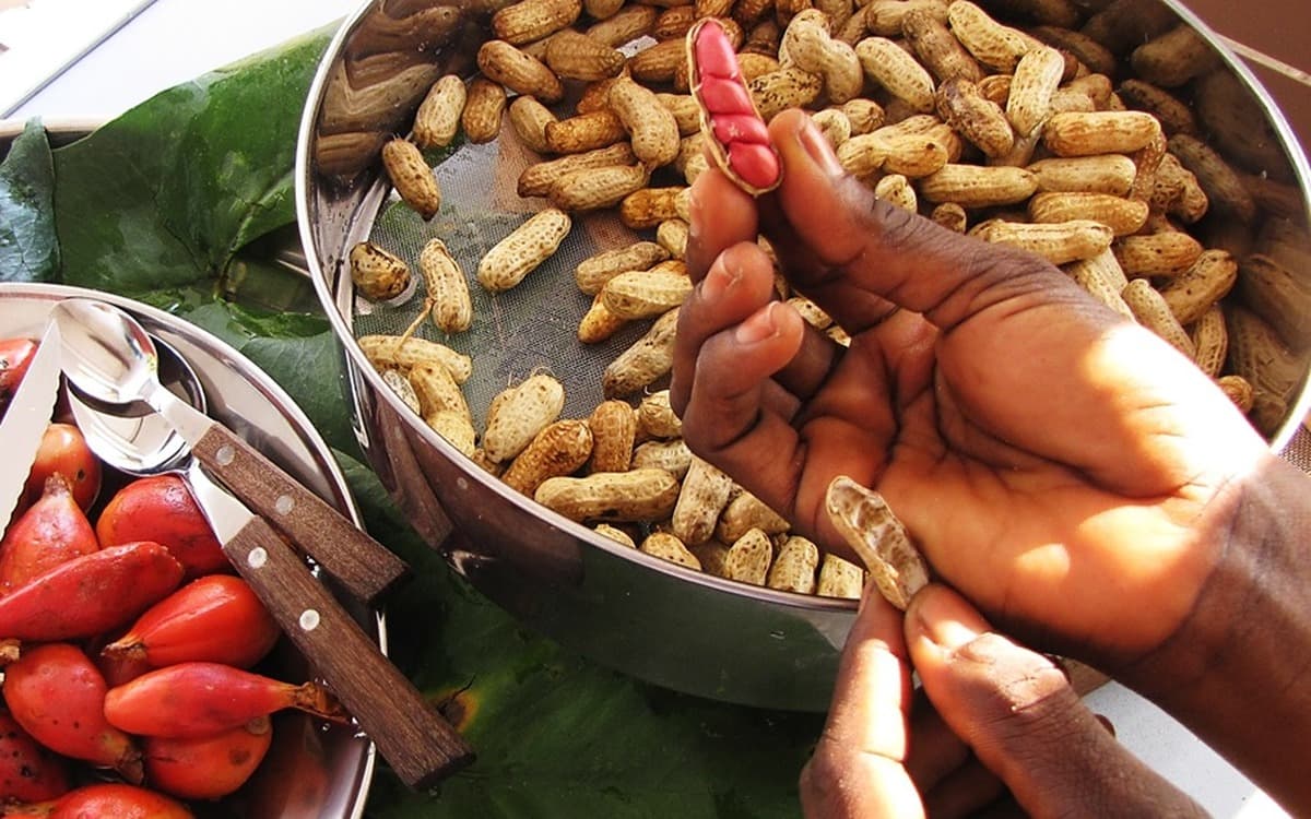 Premium groundnuts and peanuts