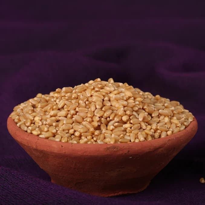 Lokwan Wheat grains in a bowl