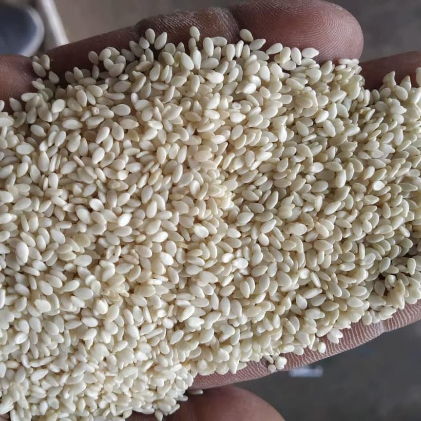 Premium sesame seeds