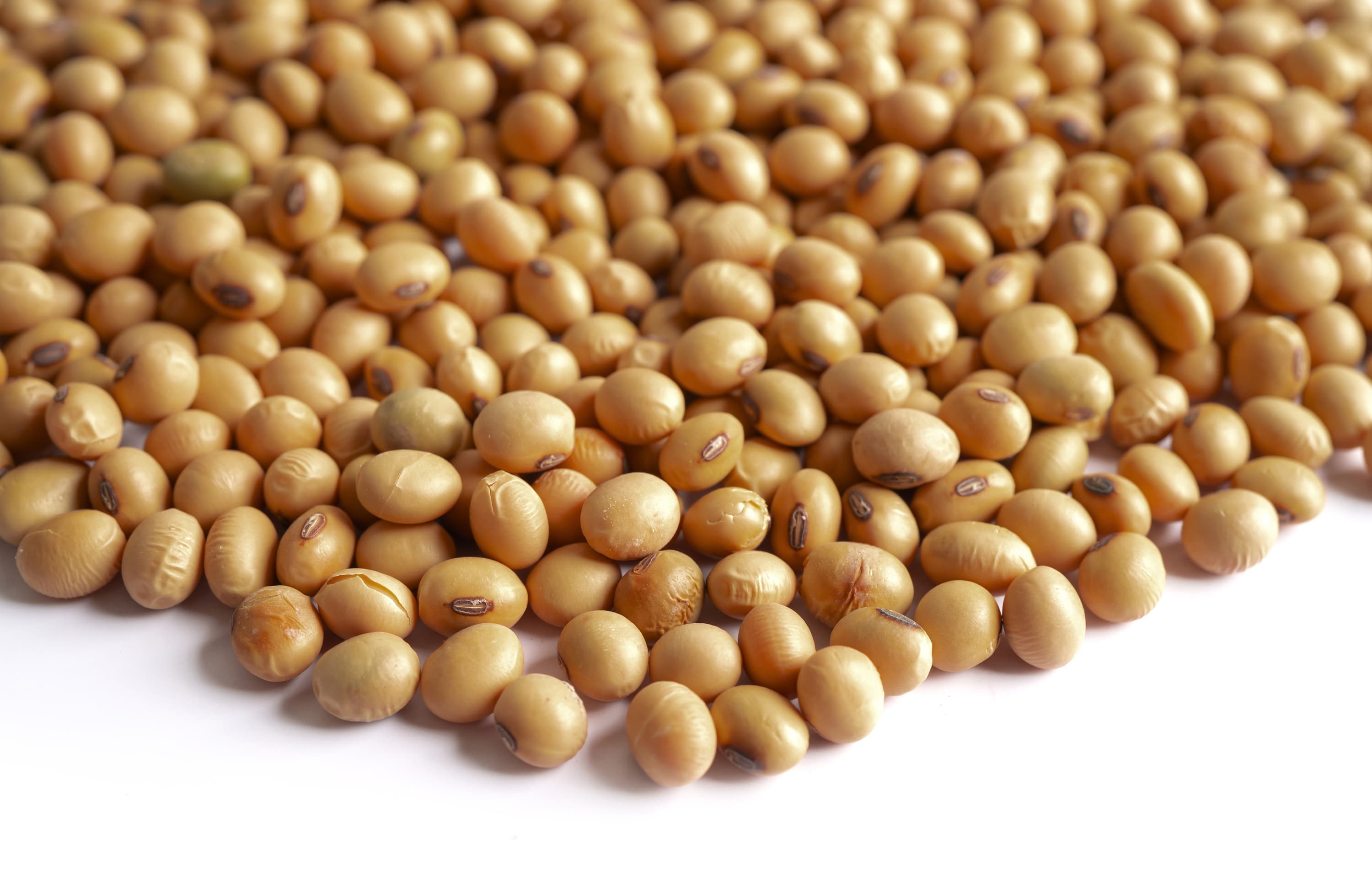Indian soybeans