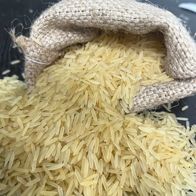 Long 1121 Basmati Rice grains