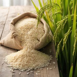 1121 Basmati Rice sacks
