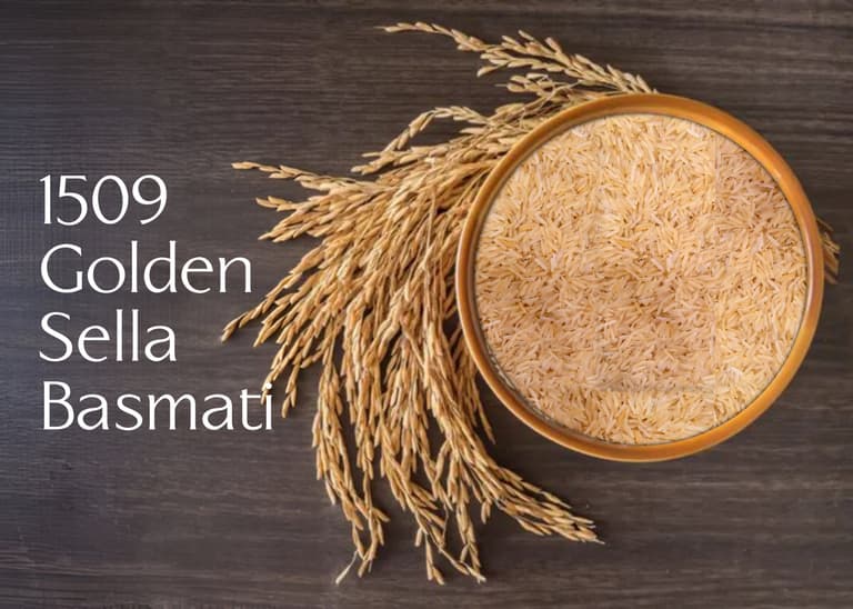 1509 Golden Sella Basmati Rice