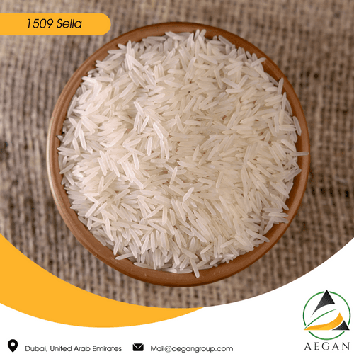1509 Basmati Rice grains in a bowl