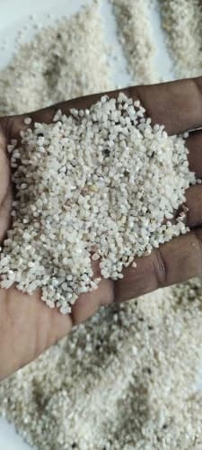 IR 64 100% broken rice grains