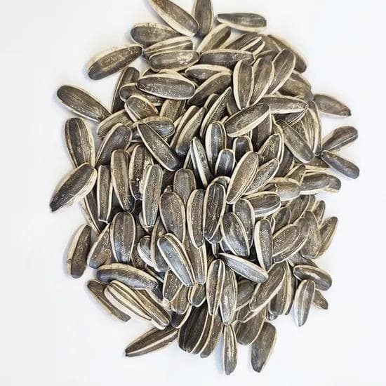 Premium sunflower seeds