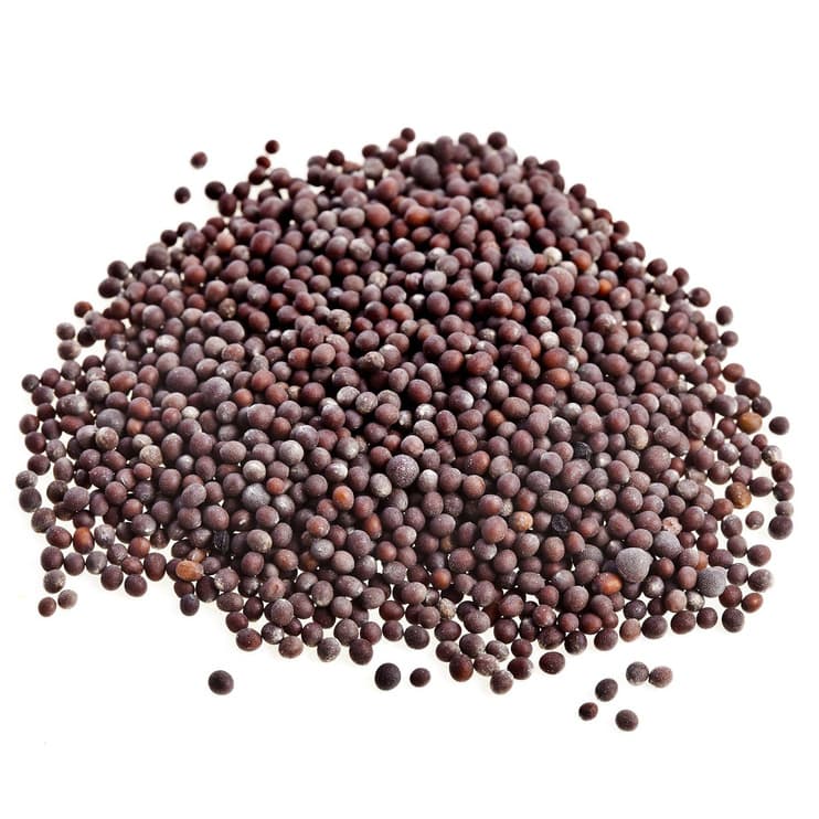 Premium mustard seeds