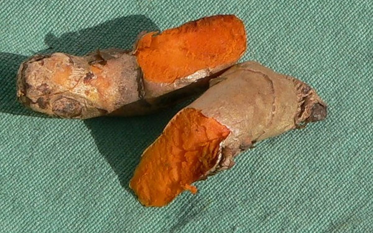 Indian turmeric powder